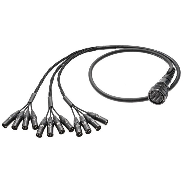MEDUSA AUDIO LK37-XLR M 12CH